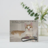 Funny Quote Cat Postcard Postkarte (Stehend Vorderseite)