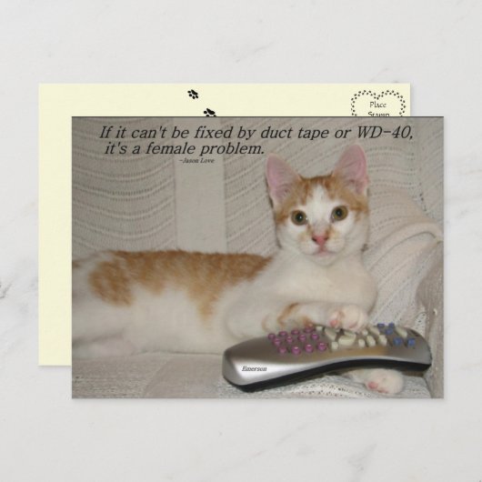 Funny Quote Cat Postcard Postkarte (Vorne/Hinten)