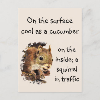 Funny Quote Surface Cool Inside Eichhörnchen Postkarte