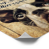 Funny Quotes über Boston Terrier Gegenwart Poster (Ecke)