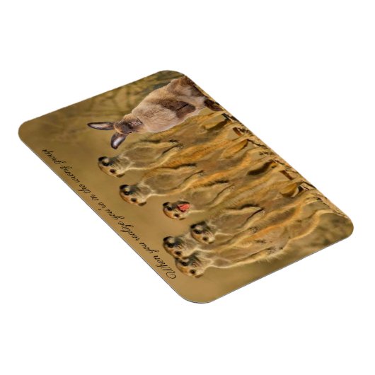 Funny Rabbit Meerkat Magnet (Rechte Seite)