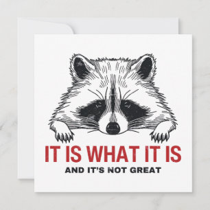 Funny Raccoon ist es, was es ist und es ist nicht  Karte