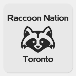 Funny Raccoon Nation Toronto Quadratischer Aufkleber