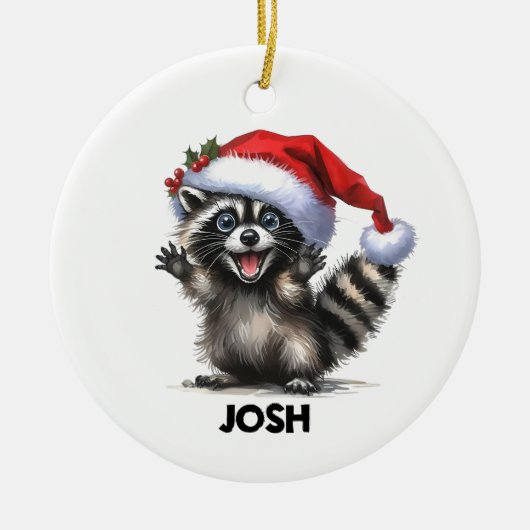 Funny Raccoon Ornament (Vorne)