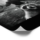 Funny Raccoon Selfie With Bigfoot 67 Six Seven Mem Poster (Ecke)