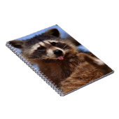 Funny Raccoon Sticken Es ist Zunge-Out Notizblock (Rechte Seite)