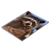Funny Raccoon Sticken Es ist Zunge-Out Notizblock (Linke Seite)