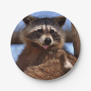 Funny Raccoon Sticken Es ist Zunge-Out Pappteller