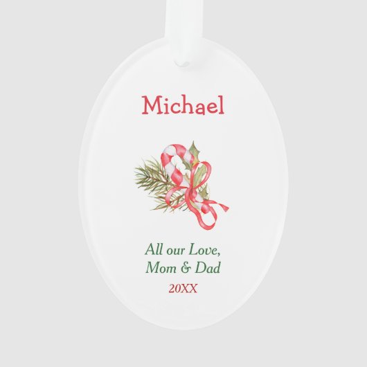 Funny Raccoon String Lights Kinder Weihnachten Ornament (Rückseite)