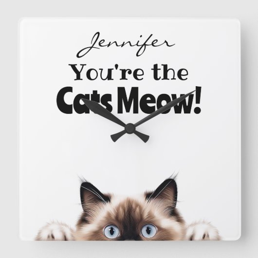 Funny Ragdoll Cam Wall Clock Quadratische Wanduhr (Vorderseite)