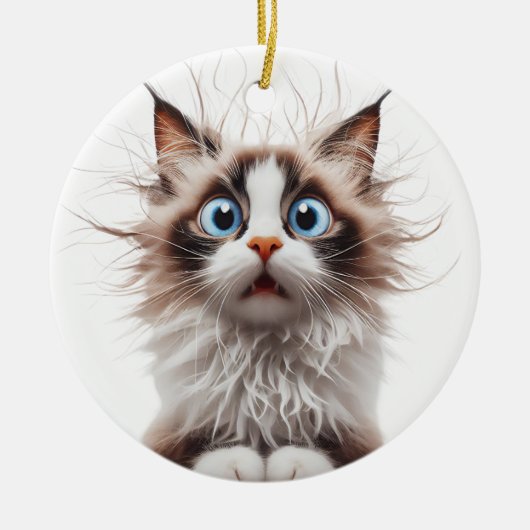FUNNY RAGDOLL CAT ÜBERRASCHTE KATZE KERAMIK ORNAMENT (Vorne)