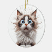 FUNNY RAGDOLL CAT ÜBERRASCHTE KATZE KERAMIK ORNAMENT (Links)