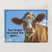 Funny Ranchers Junk Mail Country Western Tales Postkarte (Vorderseite)