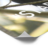 Funny Raven Wildlife Foto Poster (Ecke)