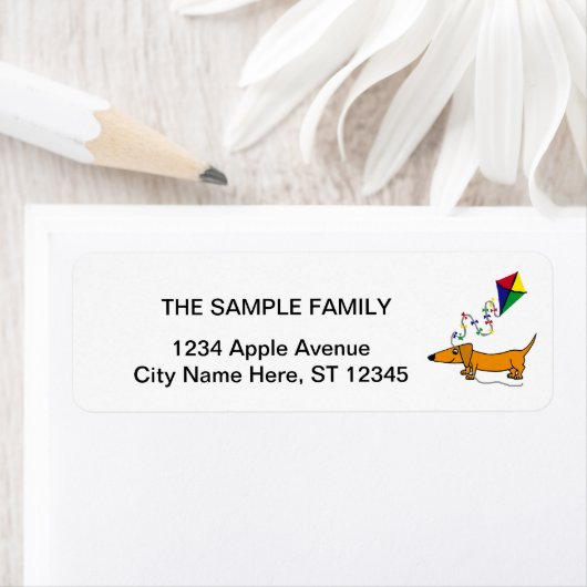 Funny Red Dackel Flying Kite Cartoon (Insitu)