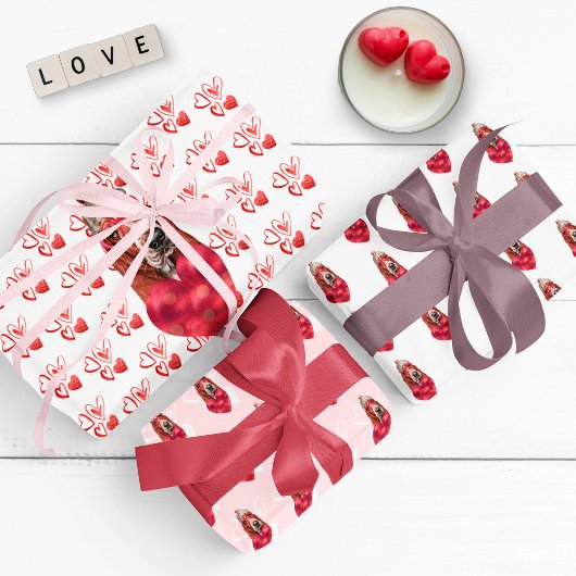 Funny Red Hearts Basset Dog Lover Valentine's Gesc Geschenkpapier Set