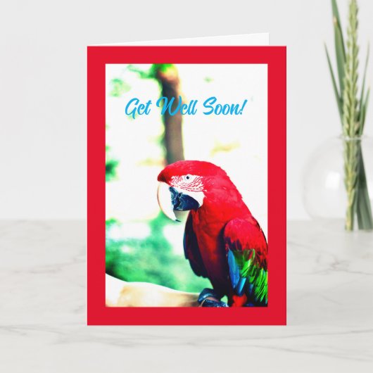 Funny Red Parrot erhält Well Card Karte (Vorderseite)