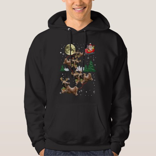 Funny Reindeer Shih Tzu Xmas Weihnachtslieder Hoodie (Vorderseite)