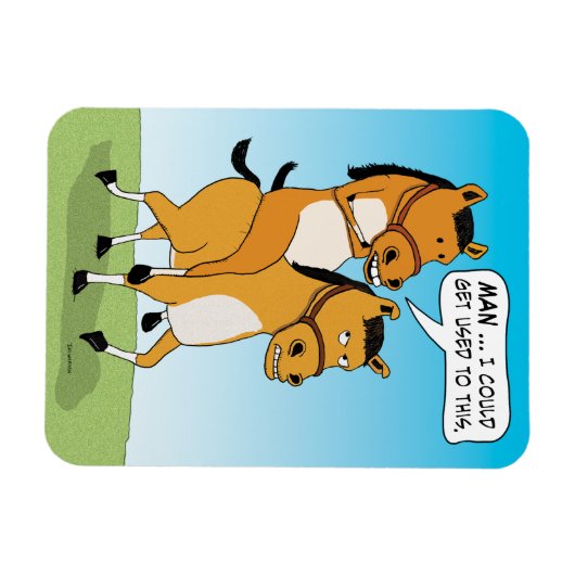 Funny Reiten Magnet (Horizontal)