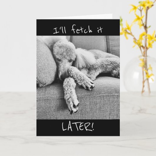 Funny Retirement Ankündigung mit Tired Poodle (Gelbe Blume)