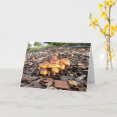 FUNNY RETIREMENT CARD KARTE (Gelbe Blume)