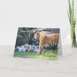 Funny Retirement Card, Schlaftiger Karte