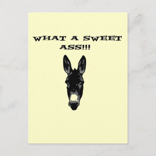 Funny Retro Donkey Postkarte