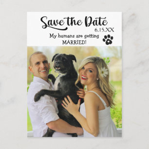 Funny Rettete das Hochzeitdatum mit Hund Postkarte