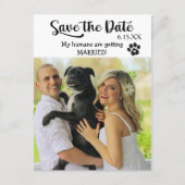 Funny Rettete das Hochzeitdatum mit Hund Postkarte (Vorderseite)