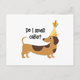 Funny Rieche ich Kuchen Geburtstagshund Postkarte