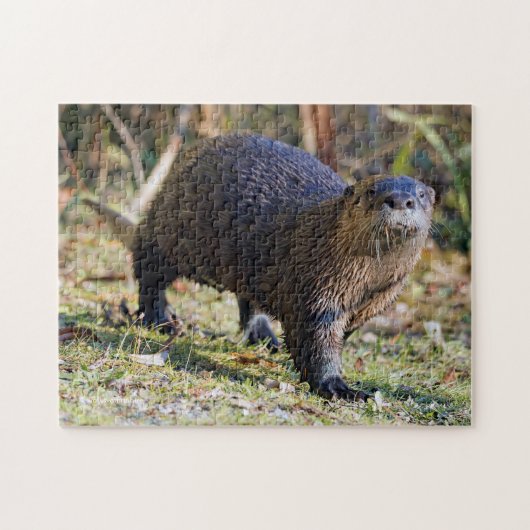 Funny River Otter aus Water Stanley Park Lagoon Puzzle (Horizontal)