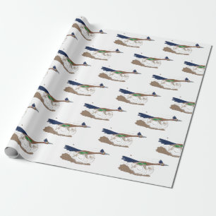 Funny Roadrunner Wüstenvogel Cartoon Illustration Geschenkpapier