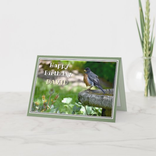 Funny Robin Geburtstagskarte Feiertagskarte (Vorderseite)