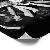 Funny Rock Show Cat Meme Cute Tabby Kitten Crowd S Poster (Ecke)