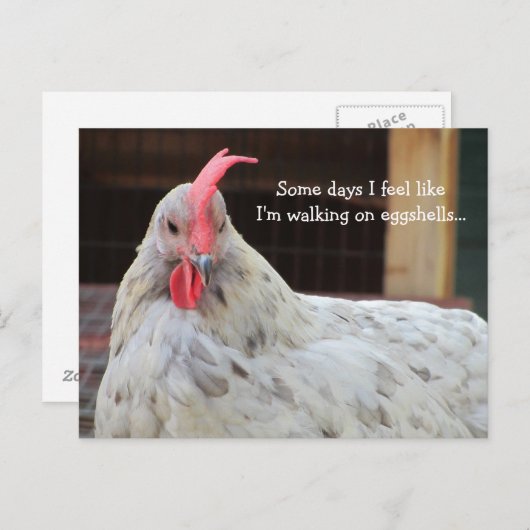 Funny Rooster mit Sprichwort Postkarte (Vorne/Hinten)
