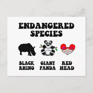 Funny Rothead Postkarte