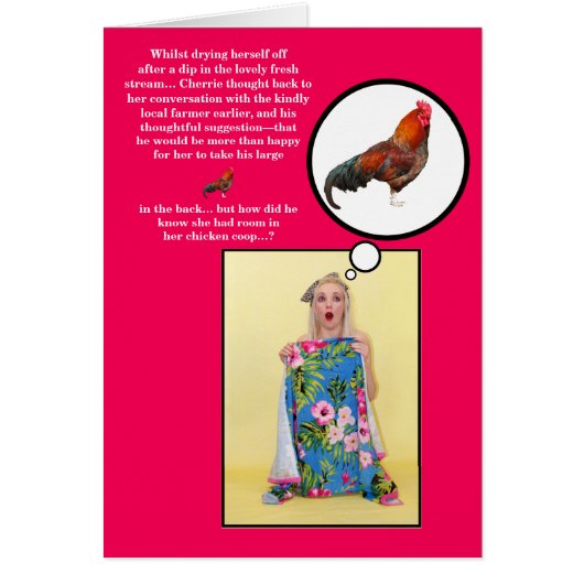 Funny Rude Adult Naughty Joke Pinup (Vorne)