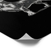 Funny Rude Black Dachshund Dog Meme Middle Finger Poster (Ecke)