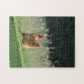 Funny Running Hühnchen Niedliche Landtiere Foto Puzzle (Horizontal)