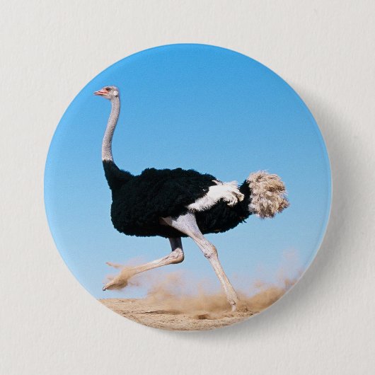 Funny Running Ostrich Foto Button-Back Button (Vorderseite)
