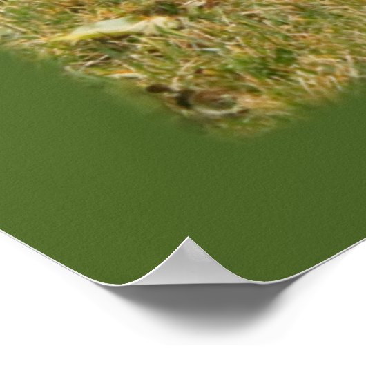 Funny sagt etwas Kitty Speech Bubble Poster (Ecke)