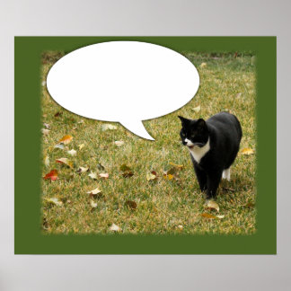 Funny sagt etwas Kitty Speech Bubble Poster