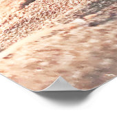 Funny Sand Sea Muschel Snowboard Collage Poster (Ecke)