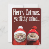 Funny Santa Cats Holiday Greeting Feiertagskarte (Vorderseite)