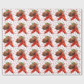 Funny Santa Claus Geschenkpapier (Flach)