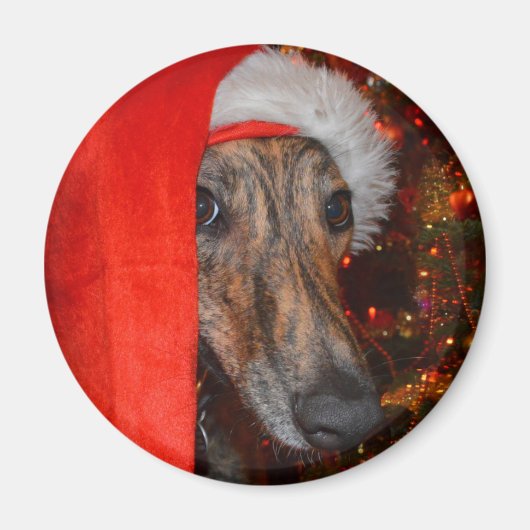Funny Santa Dog - Lurcher Greyhound Weihnachtshut Magnet (Vorne)