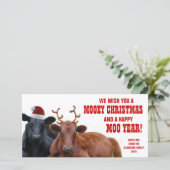 Funny Santa Reindeer Kühe Weihnachtsbauernhof für Feiertagskarte (Stehend Vorderseite)