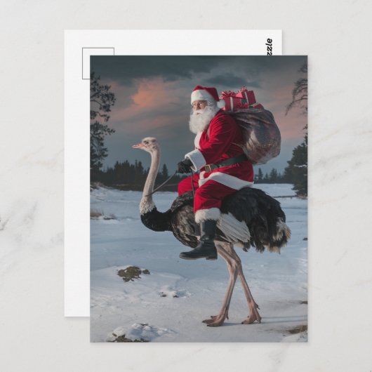 Funny Santa und Ostrich Postkarte (Vorne/Hinten)