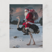 Funny Santa und Ostrich Postkarte (Vorderseite)