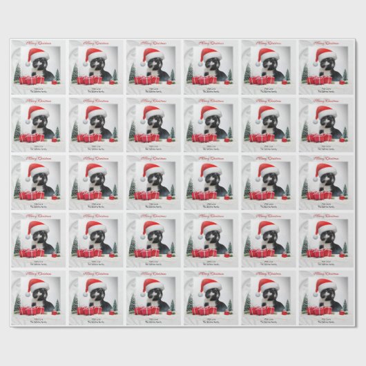 Funny Sarcastic Cat Santas Hat Weihnachten Geschenkpapier (Flach)